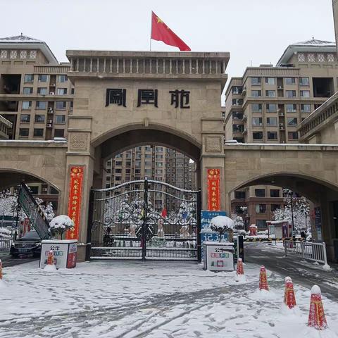 万众一心众志成城——凤凰苑清扫积雪纪实