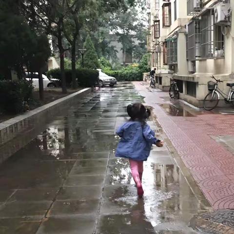 七绝     秋雨