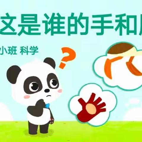 三色幼稚园科学课程《这是谁的手和脚》