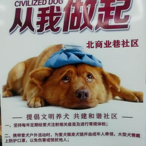 文明养犬社会责任  自觉维护他人利益