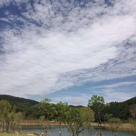 充实的暑假之旅