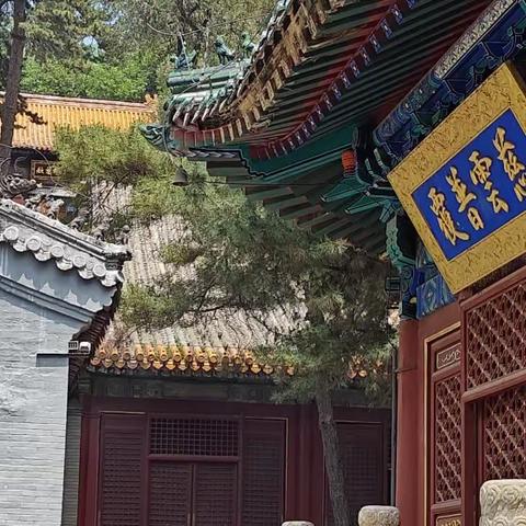 诗二首 ▪ 游京西二寺