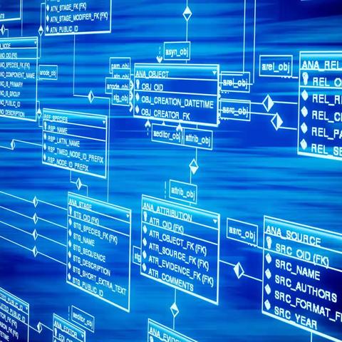 纪实 · 我在美国做证人