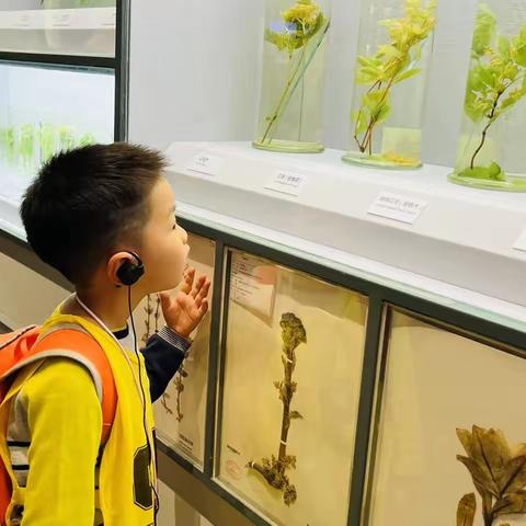 20230311-0512锵锵幼儿园生活