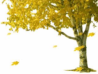 抒情诗：我是一片落叶