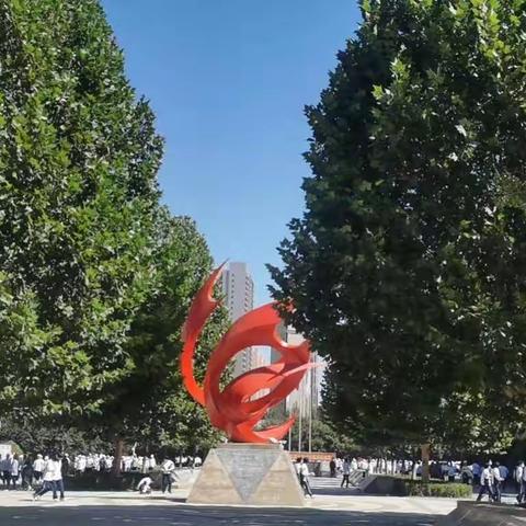 师徒结对齐蓄力，青蓝携手谱芳华