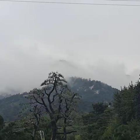 游玉泉寺，秋风秋雨秋意浓，兴泉大石玉泉行，云雾缭绕似仙境，如画美景留心中