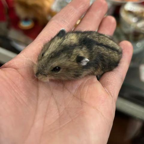 交一个“朋友”