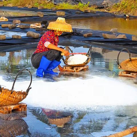 雷州半岛之千年盐田