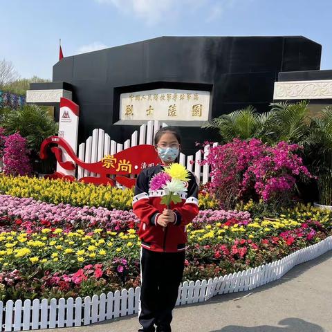 清明至，祭英烈 石家庄市友谊大街小学二(9)班 杨晨希