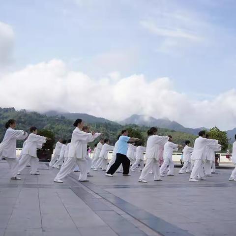 紫阳县太极养生协会邀请安康市老年大学李茂琼老师到紫阳开展太极拳培训活动