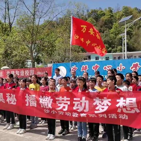 沙坪小学“阳光劳动”系列活动之“探寻制茶奥秘 播撒劳动梦想”