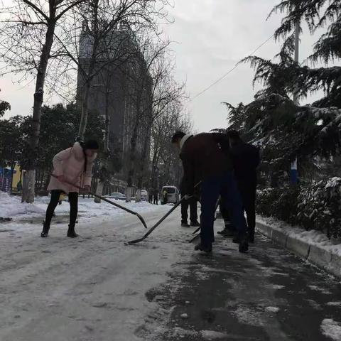 区工信委义务清雪