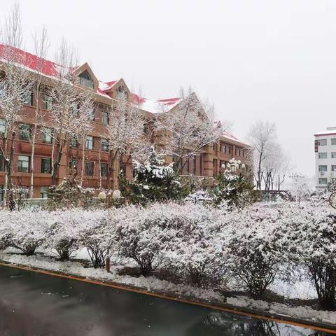 瑞雪兆丰年    喜迎学子归