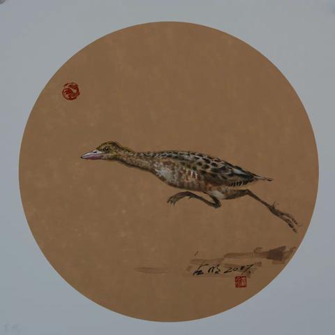 北戴河区文化馆 ——                       “北戴河鸟类绘画科普展”开展啦！！！