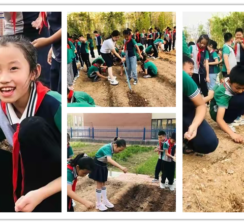 【劳动励心智 实践促成长】龙池小学劳动教育课