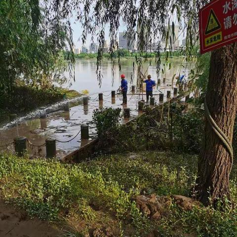 鹰潭市园林绿化管理处防汛日报（7月12日）