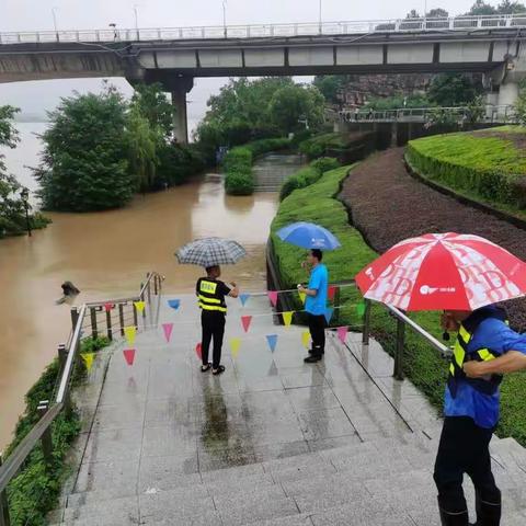 市园林处防洪防汛动态。（7月10日）