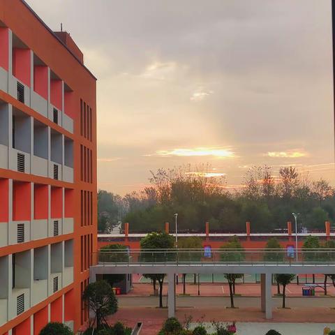 金秋飘香，“回忆”中体味“颜色”