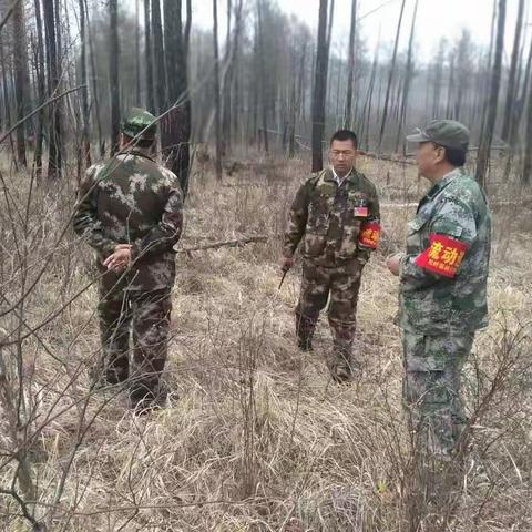 南旸河管护区加大资源管护力度，筑牢生态安全屏障