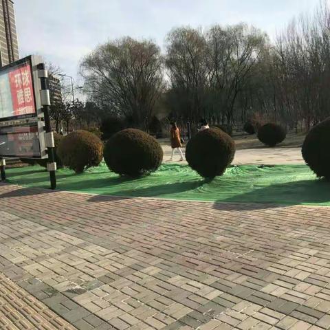 唐徕公园狠抓冬季绿地防尘治理，坚决打赢大气污染防治攻坚战