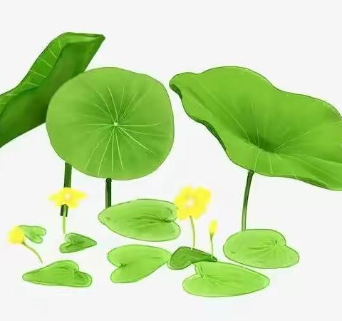 人生只不过就三天
