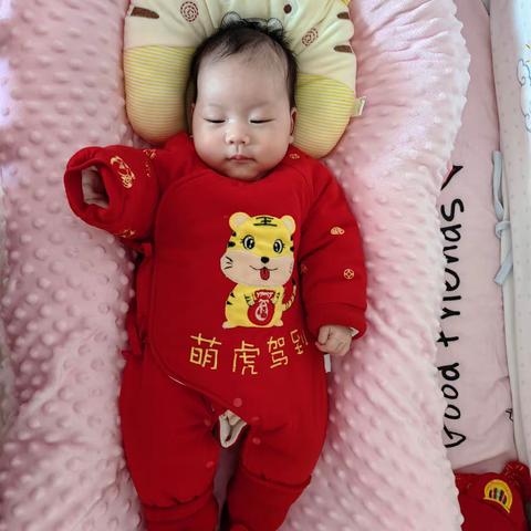 春眠不觉晓 处处闻啼鸟夜来风雨声 花落知多少