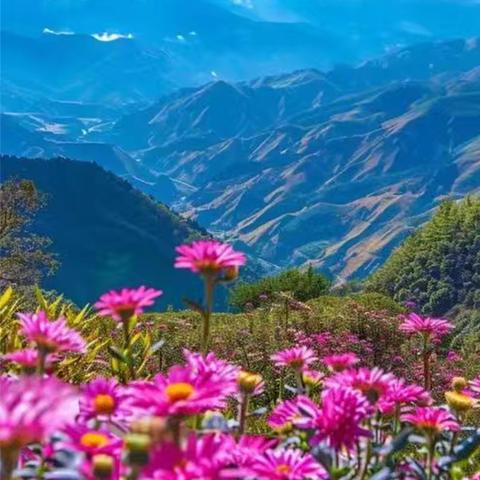 秋风送教赴华林 共研赋能绽芬芳 ——仙游县林金清名师工作室共研莆田市挂校帮扶暨七年级语文教研活动