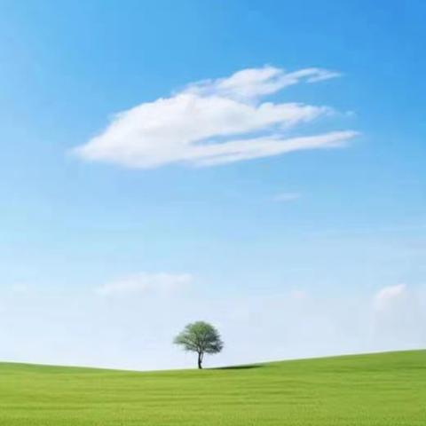 分析质量促提升  携手家校聚合力———仙游县榜头中学八年级召开期中质量分析会和家长会