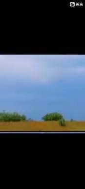 《动物的超级本领》——三十里铺镇中心幼儿园中班游戏分享11.29