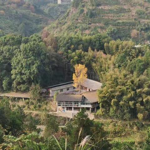 （11月20第三期）青少年野外生存训练