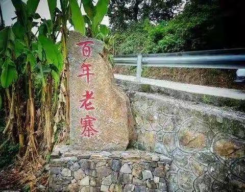 （11月第二期）青少年野外生存训练营活动剪影