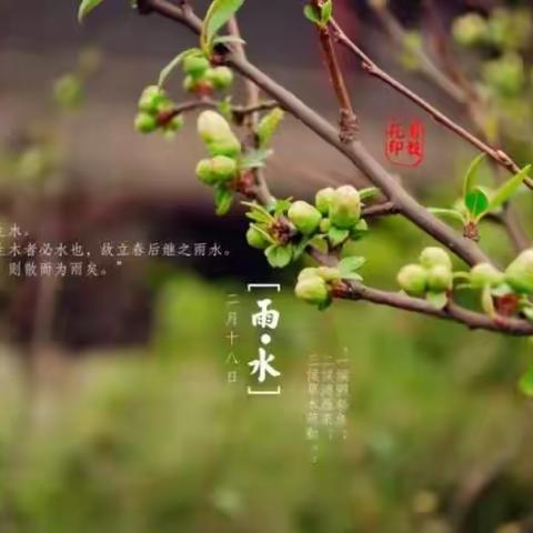 春雨润物细无声-记藤芳幼儿园膳食委员会第八周