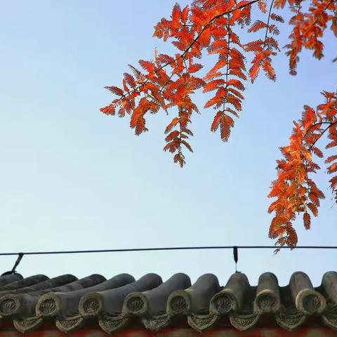 晚秋京色迎冬至