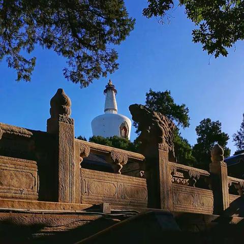 到北海去探海