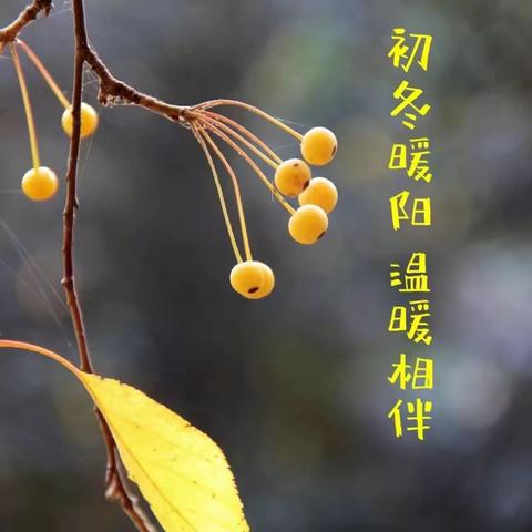 初冬暖阳   温暖相伴——潍坊锦绣学校二（7）中队家长执勤纪实