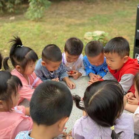 💕相约九月 幼见美好💕