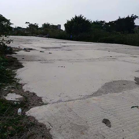 老城镇依法拆除卫片图斑违法建筑