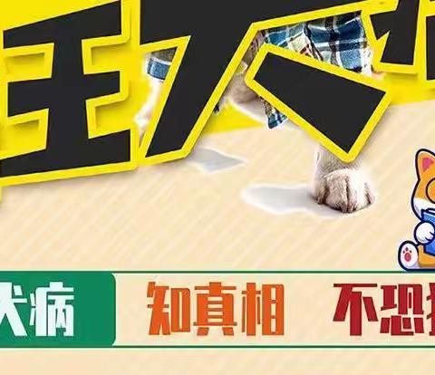 世界狂犬病日：狂犬病，同一个健康，零死亡