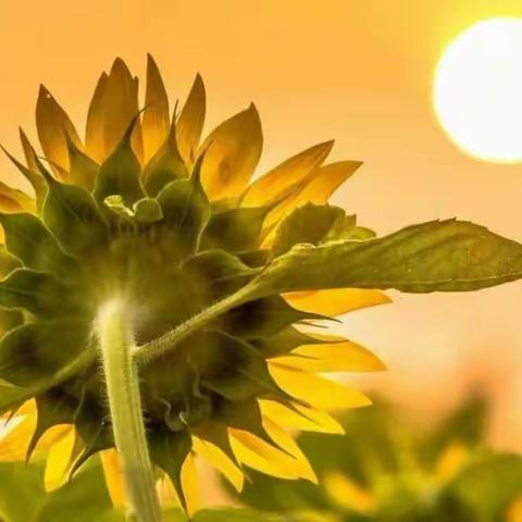 梦想起航 行有力量