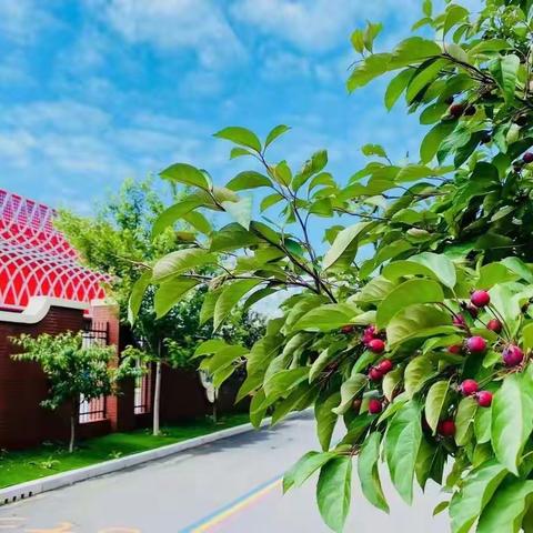 北外辽校第十八周高二班主任工作总结