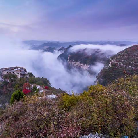 2020，我的图片故事