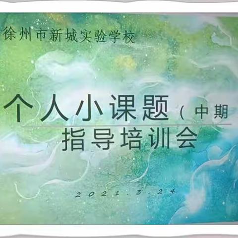 【新实 教育教学】 提升 助力 成长 ——新城实验学校个人小课题（中期）指导会