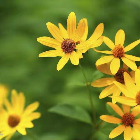 四里庄小学2021春期中总结大会