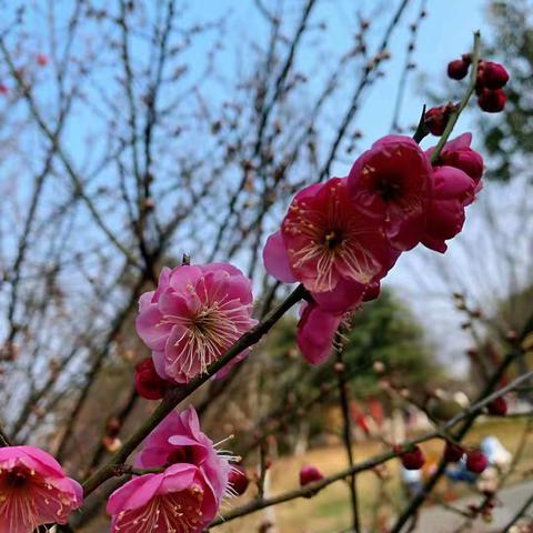 不负春光  扬帆远航-2021年春四里庄小学开学典礼