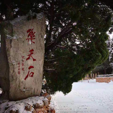 雪中的八七（一）