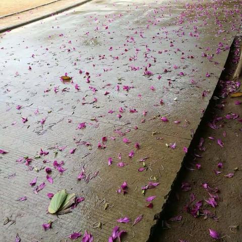 烟墩小学环境整治