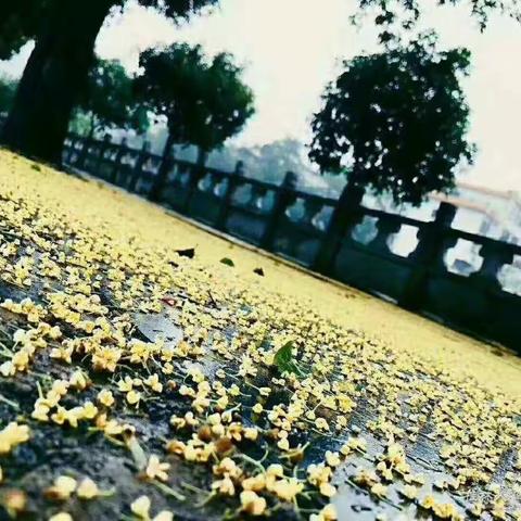 2020年河池市“国培计划”市级统筹项目——培训者团队研修项目                              制作：第五组