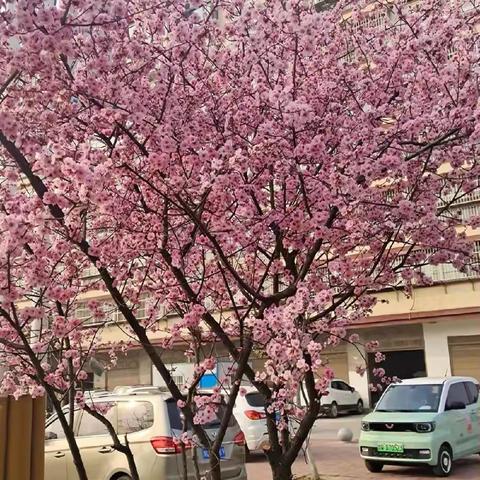 雨后的盘龙山公园