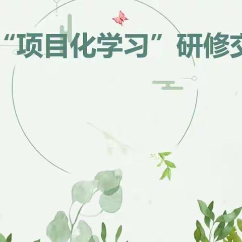 人间四月芳菲尽，云端教研绽芳华——安次区项目化学习汇报交流